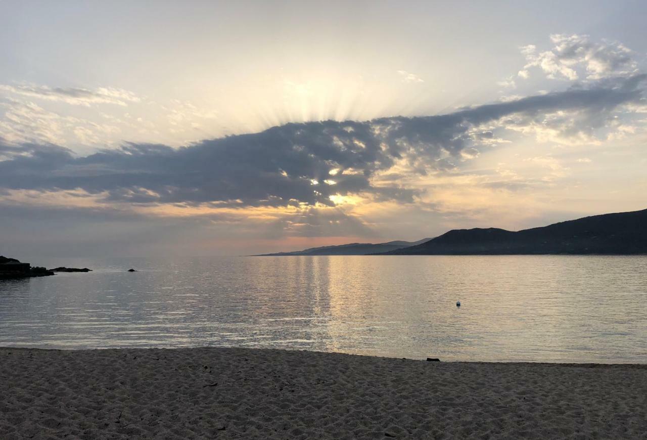 Magnifique Appartement Devant La Plage Propriano  Exterior foto